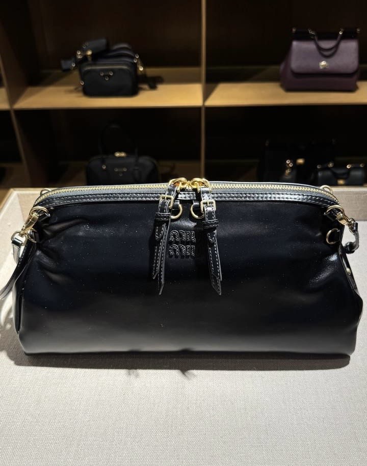 Сумка смотреть фото