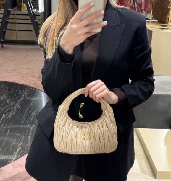 Сумка смотреть фото