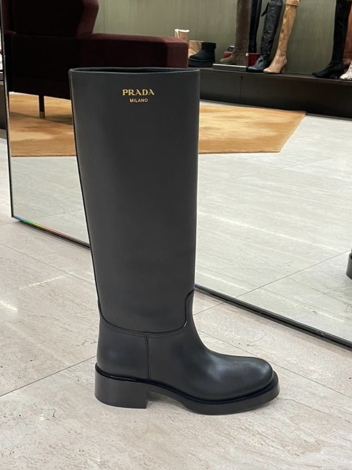 Сапоги смотреть фото