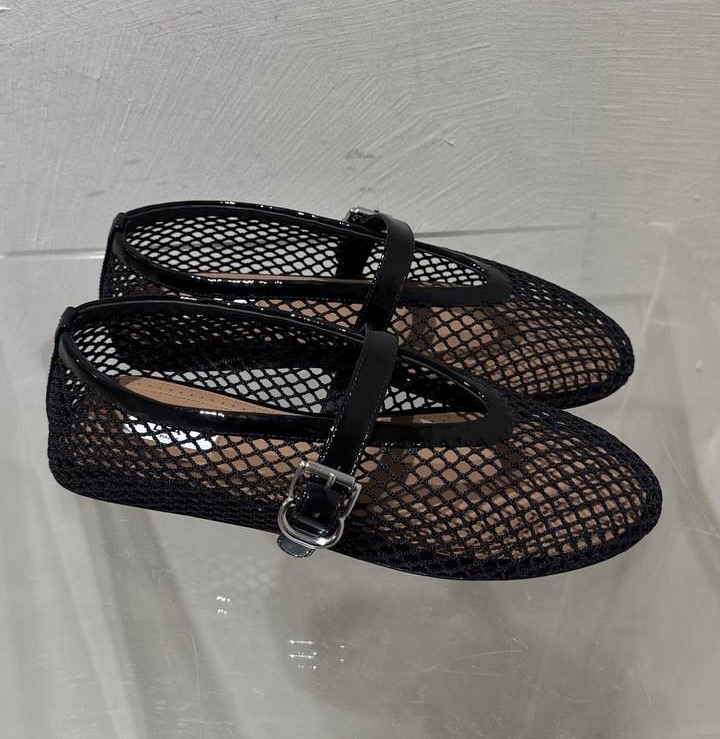 Балетки смотреть фото