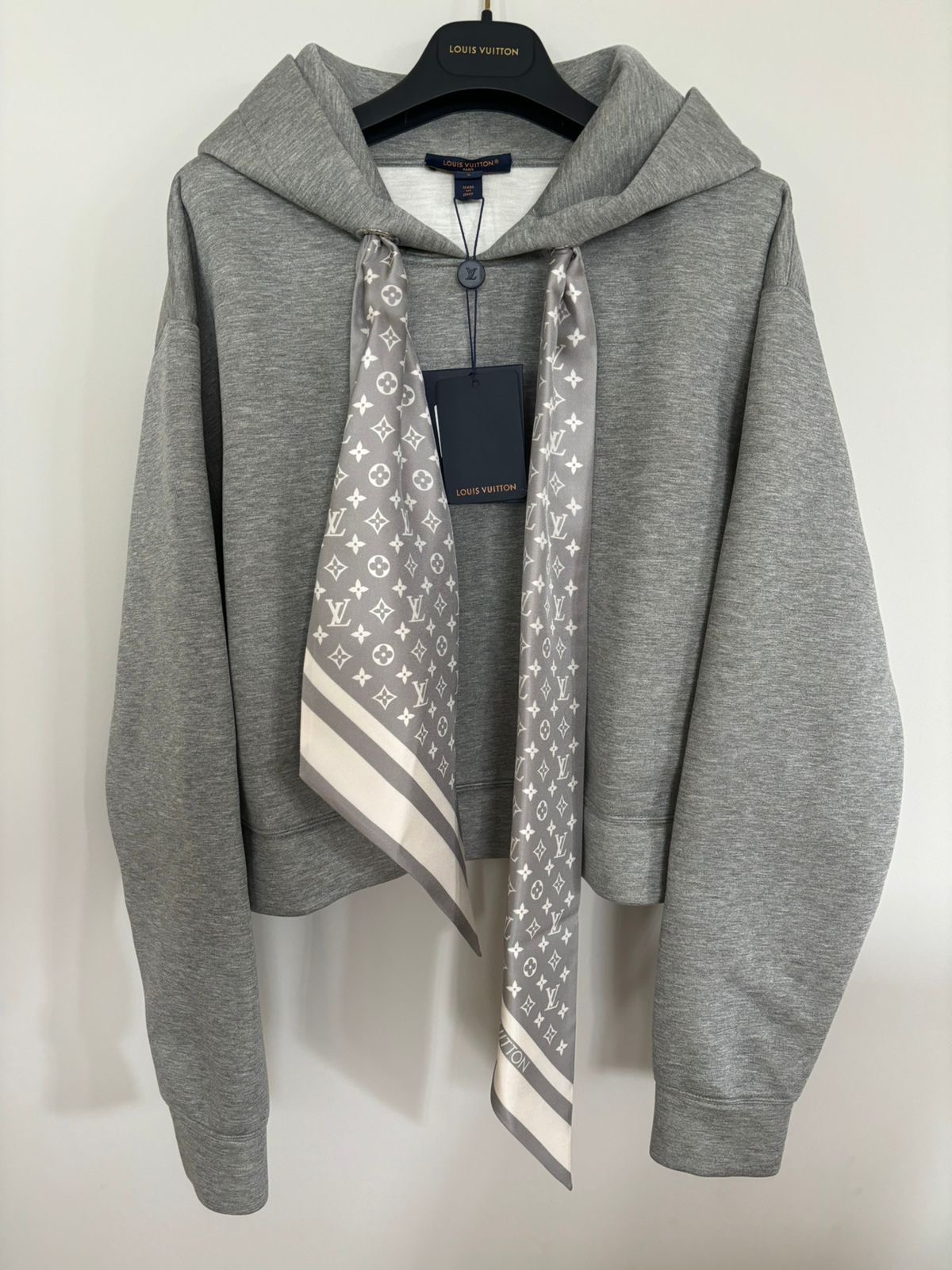 Худи Louis Vuitton смотреть фото