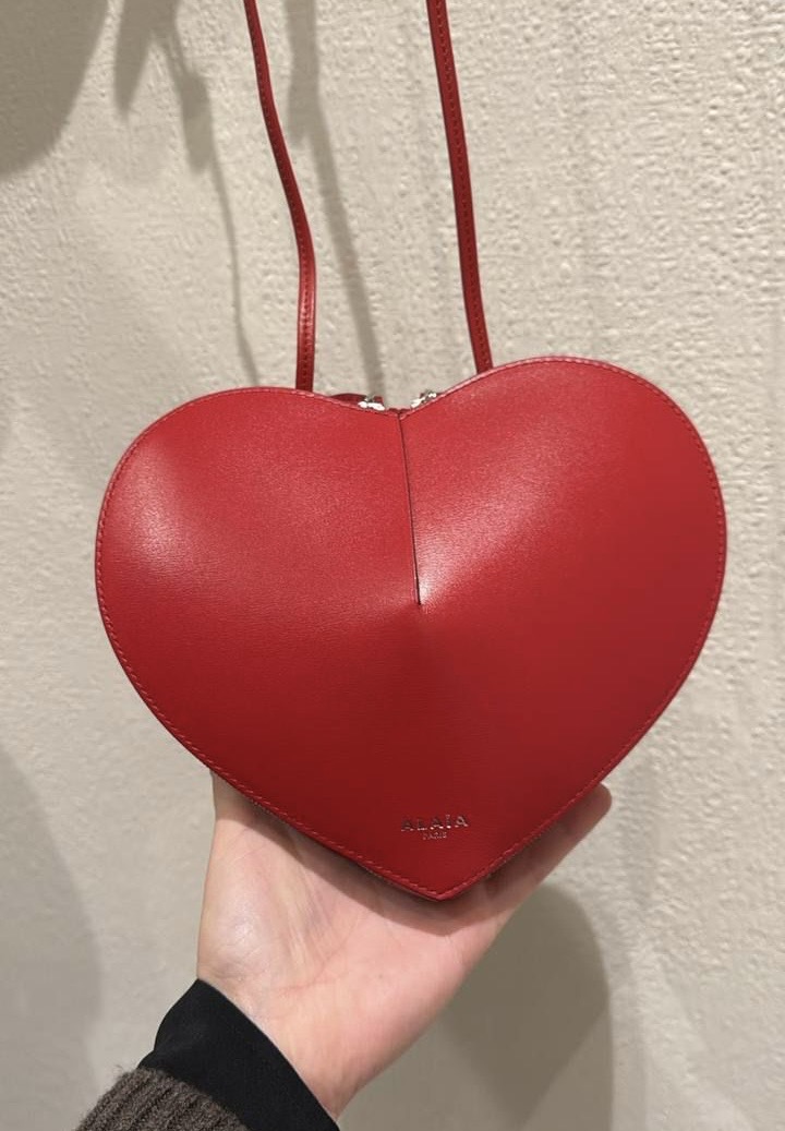 Сумка смотреть фото