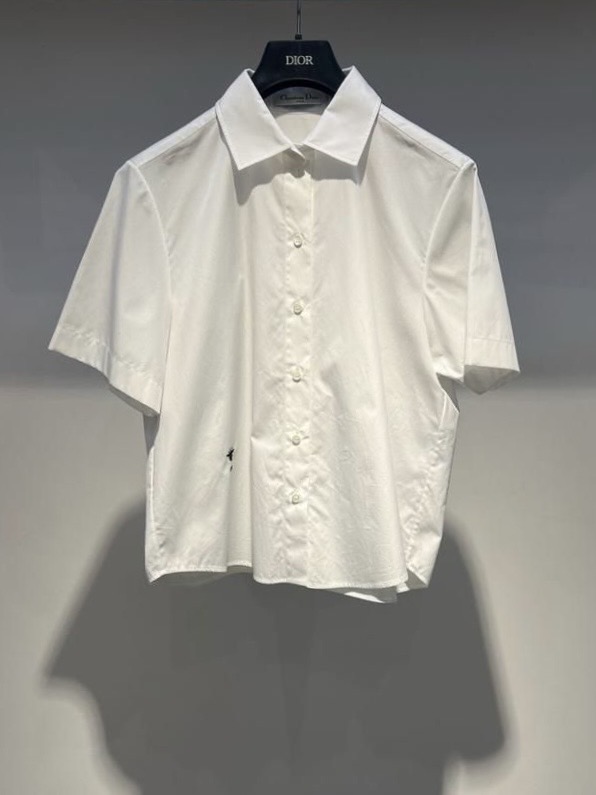 Рубашка Christian Dior смотреть фото