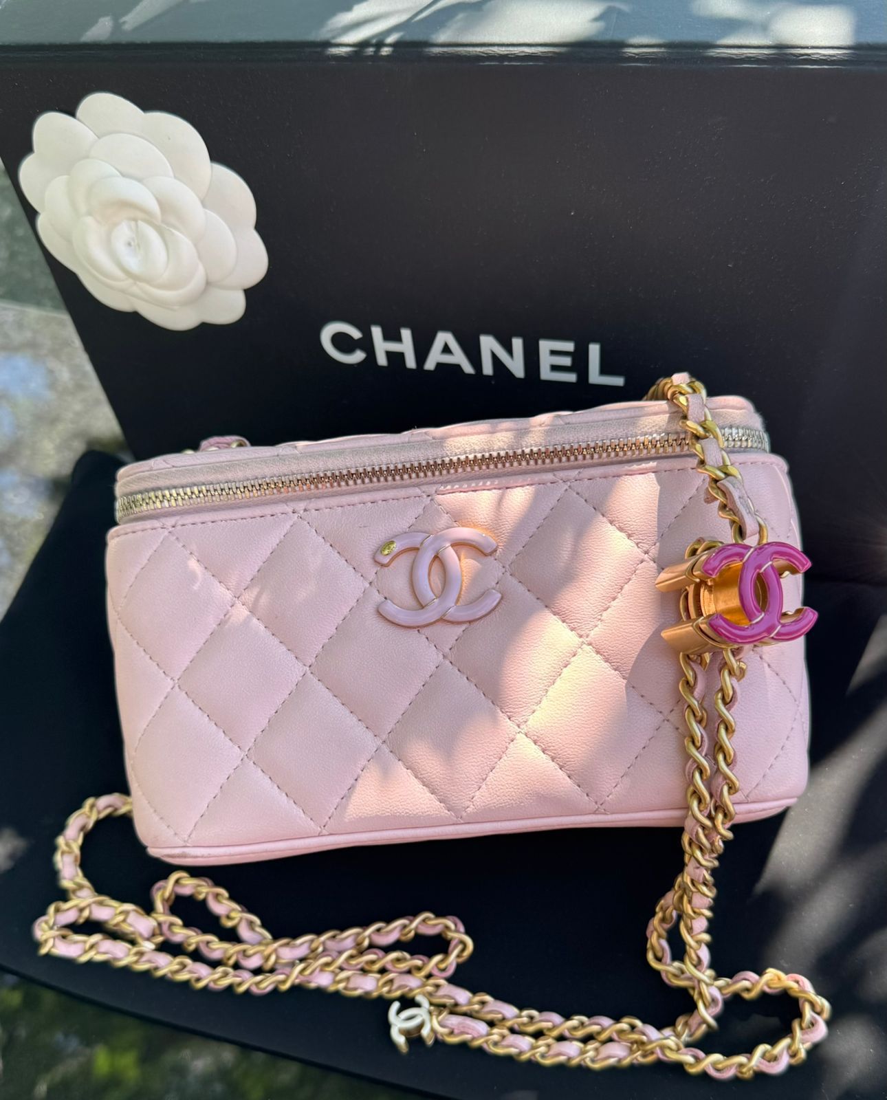 Сумка смотреть фото