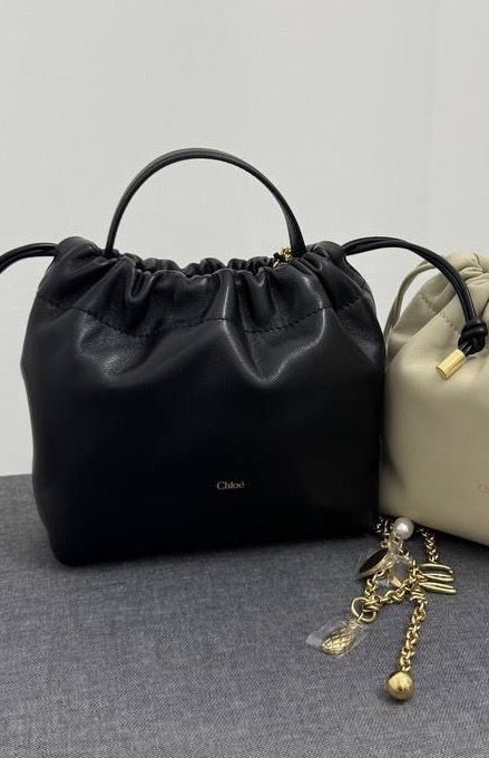 Сумка смотреть фото