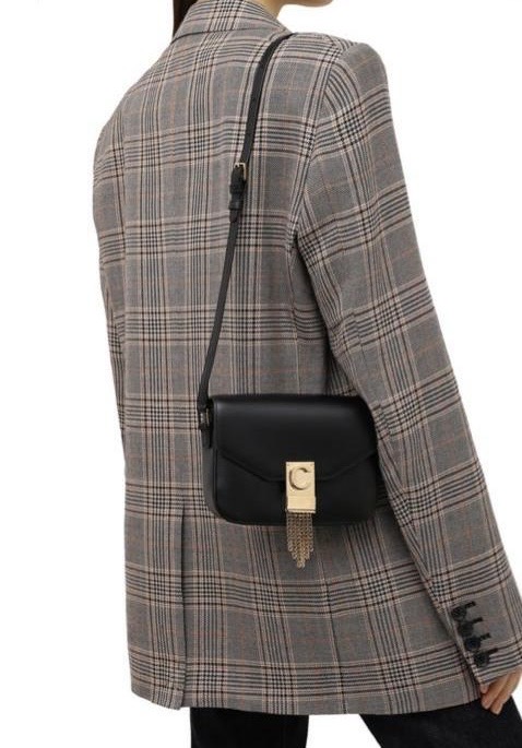 Сумка смотреть фото