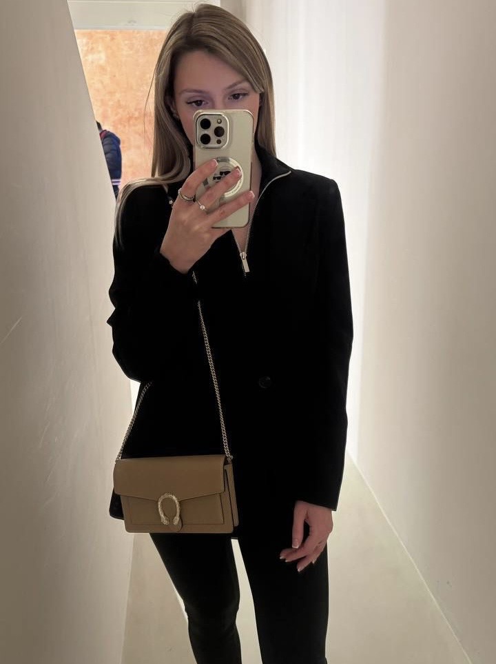 Сумка смотреть фото