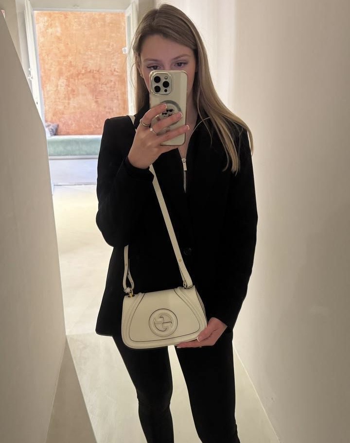 Сумка смотреть фото