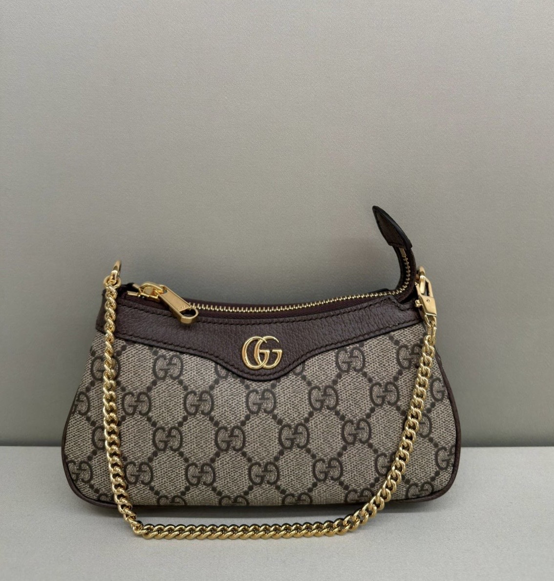 Сумка смотреть фото