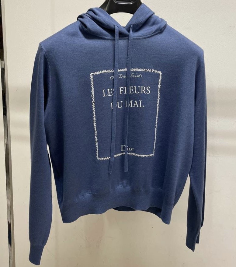 Худи Christian Dior смотреть фото