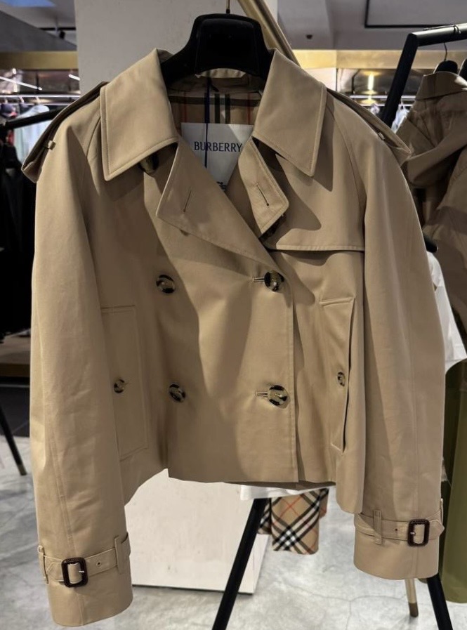 Тренч смотреть фото