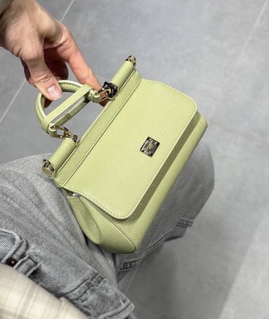 Сумка смотреть фото