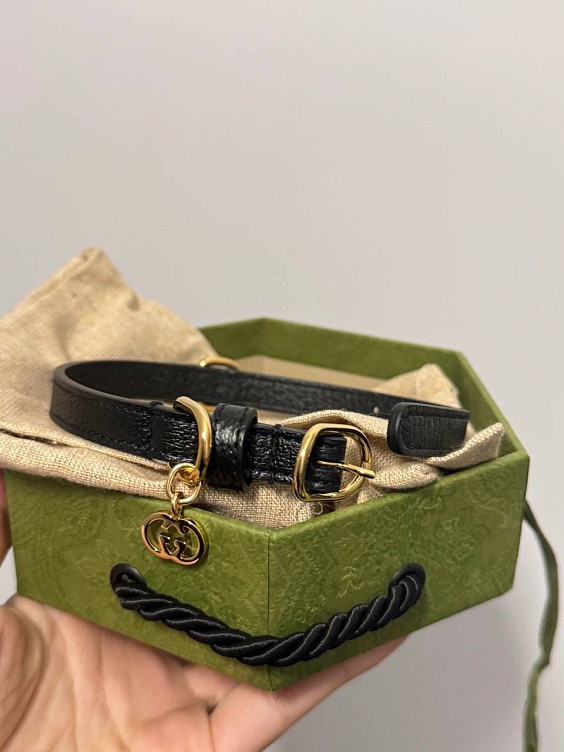 Gucci Ошейник для домашних животных