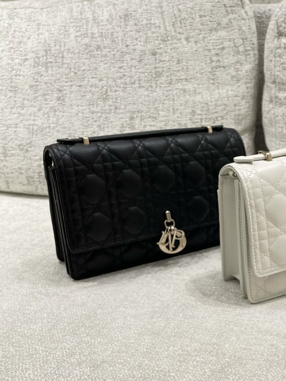 Christian Dior Сумка