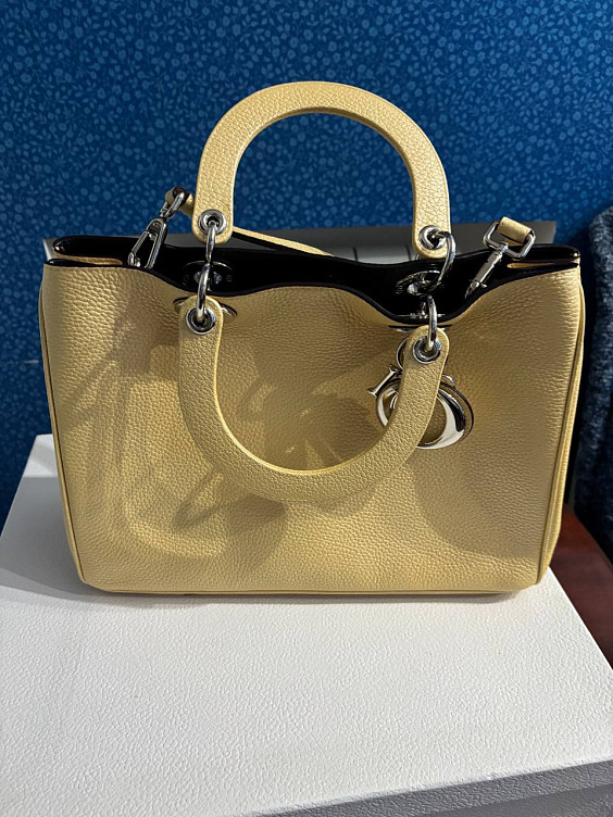 Christian Dior Сумка