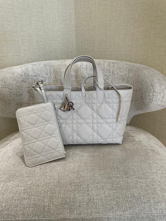 Christian Dior Сумка