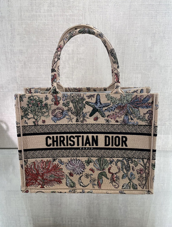 Christian Dior Сумка