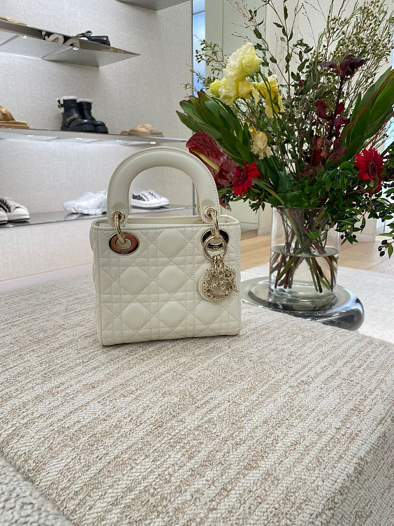 Christian Dior Сумка