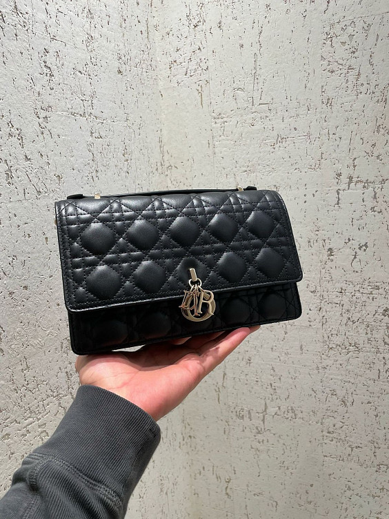 Christian Dior Сумка