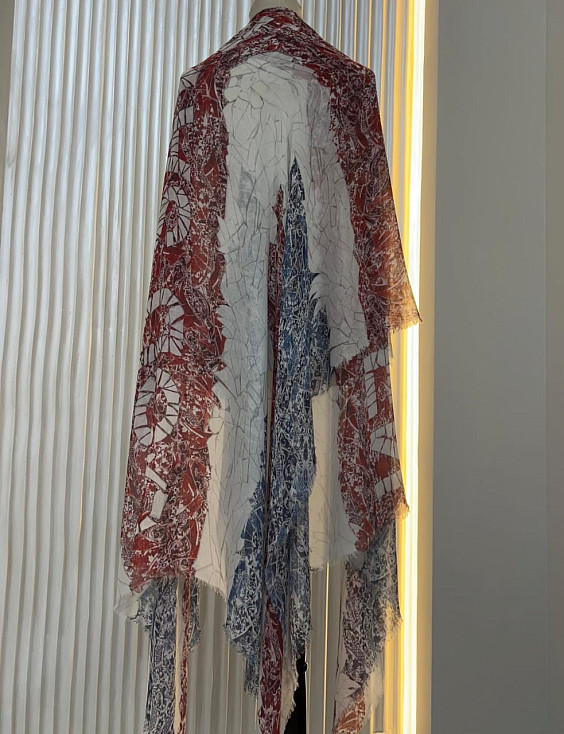 Alexander McQueen Шаль