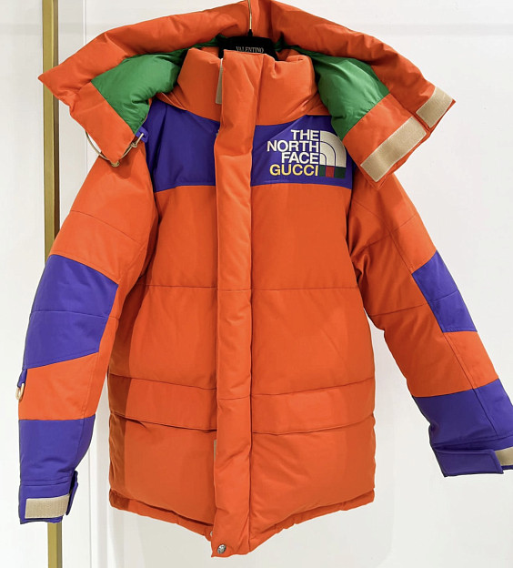 Gucci x The North Face Пуховик